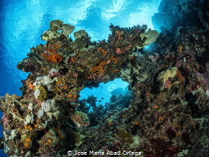 Seascape on Talisay Moalboal by Jose Maria Abad Ortega 